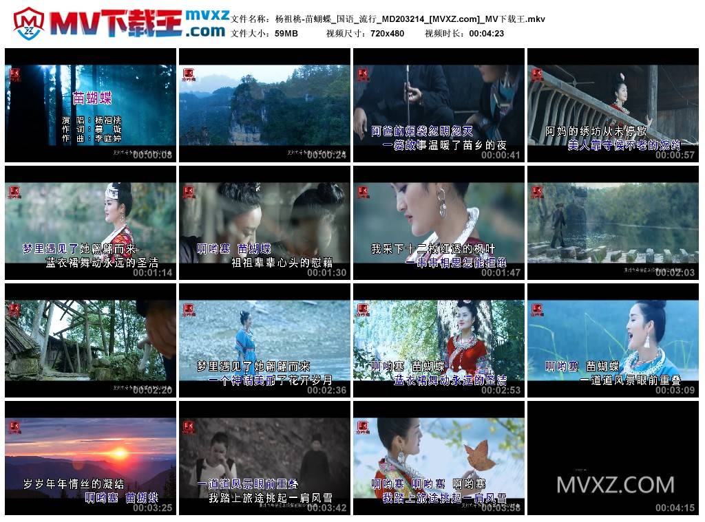 杨祖桃-苗蝴蝶_国语_流行_MD203214